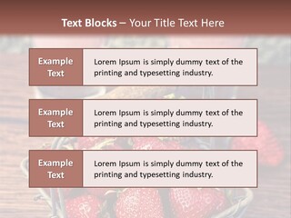 Mother Sand Parent PowerPoint Template