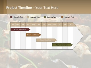 Pensioner Beach Family PowerPoint Template