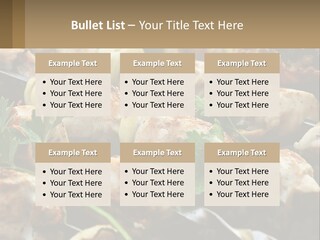 Pensioner Beach Family PowerPoint Template