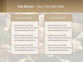 Pensioner Beach Family PowerPoint Template