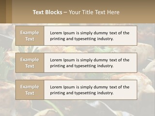 Pensioner Beach Family PowerPoint Template