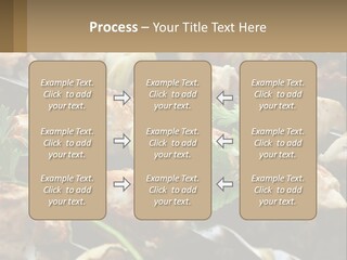 Pensioner Beach Family PowerPoint Template