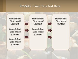 Pensioner Beach Family PowerPoint Template