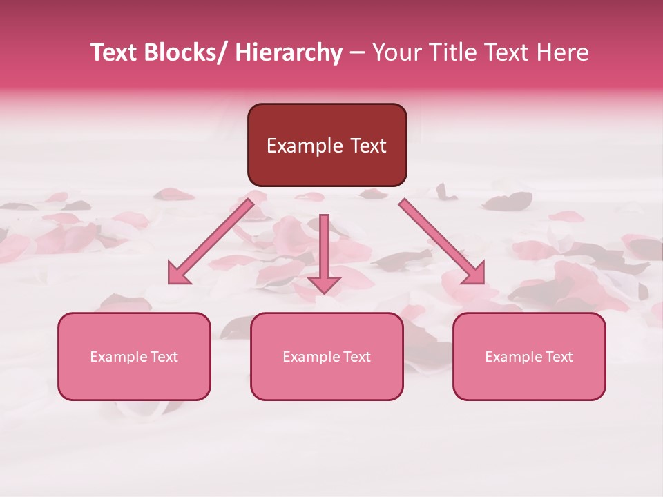 Water Senior Sunset PowerPoint Template