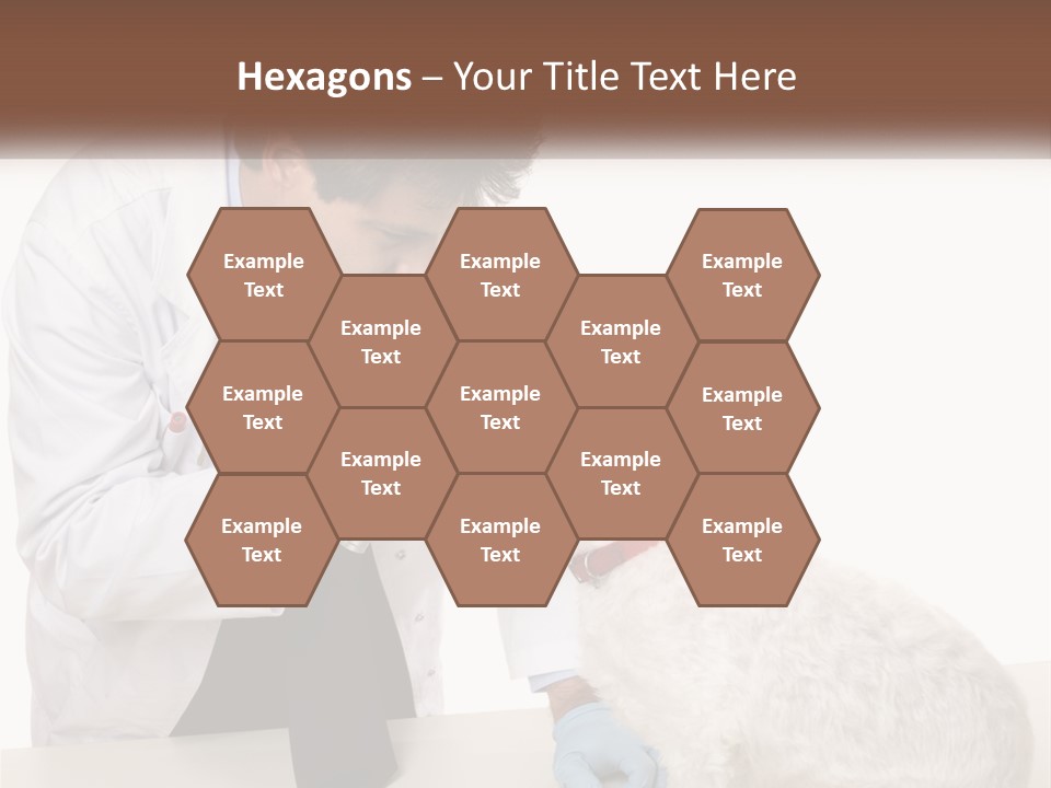 Pensioner Beach Caucasian PowerPoint Template