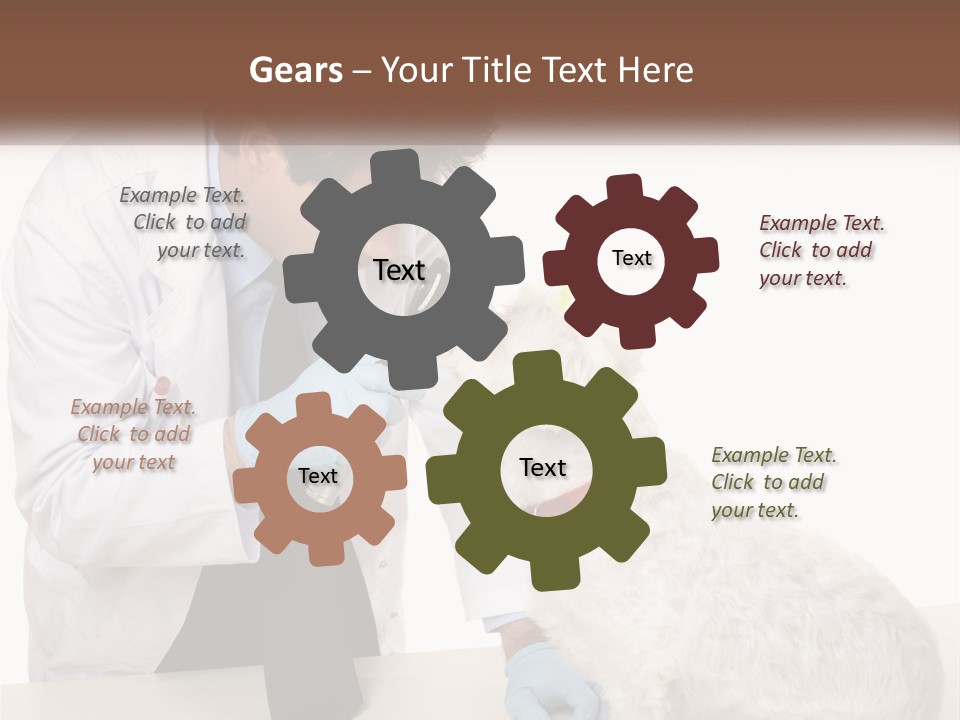 Pensioner Beach Caucasian PowerPoint Template