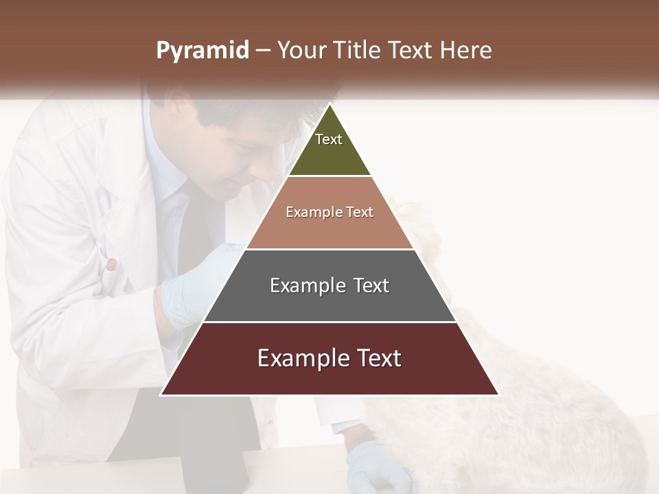 Pensioner Beach Caucasian PowerPoint Template