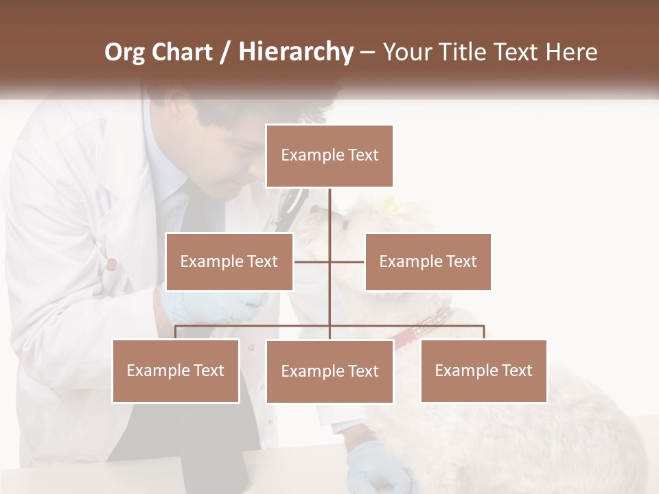 Pensioner Beach Caucasian PowerPoint Template