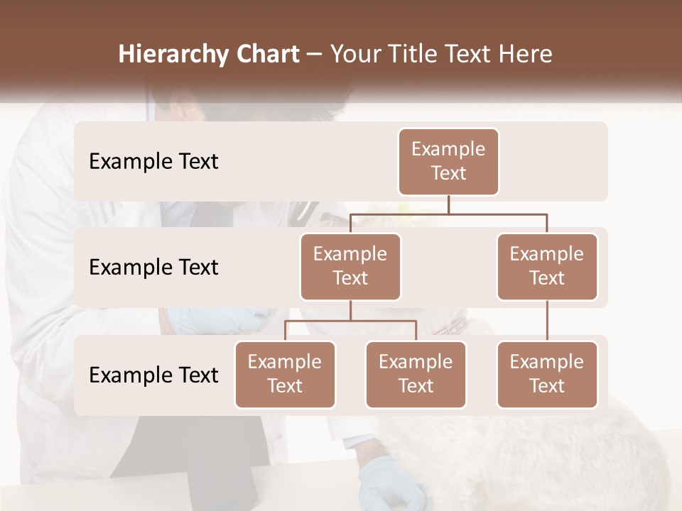 Pensioner Beach Caucasian PowerPoint Template