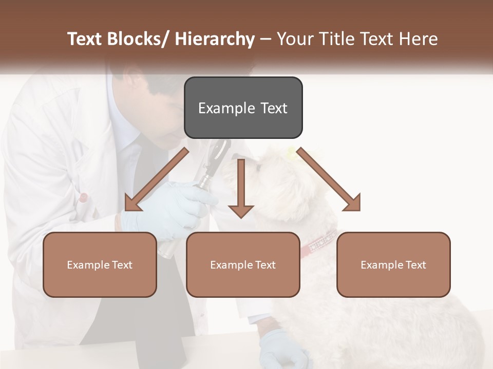 Pensioner Beach Caucasian PowerPoint Template