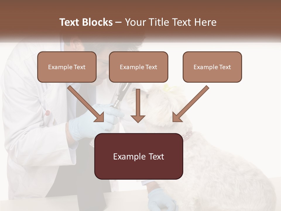 Pensioner Beach Caucasian PowerPoint Template