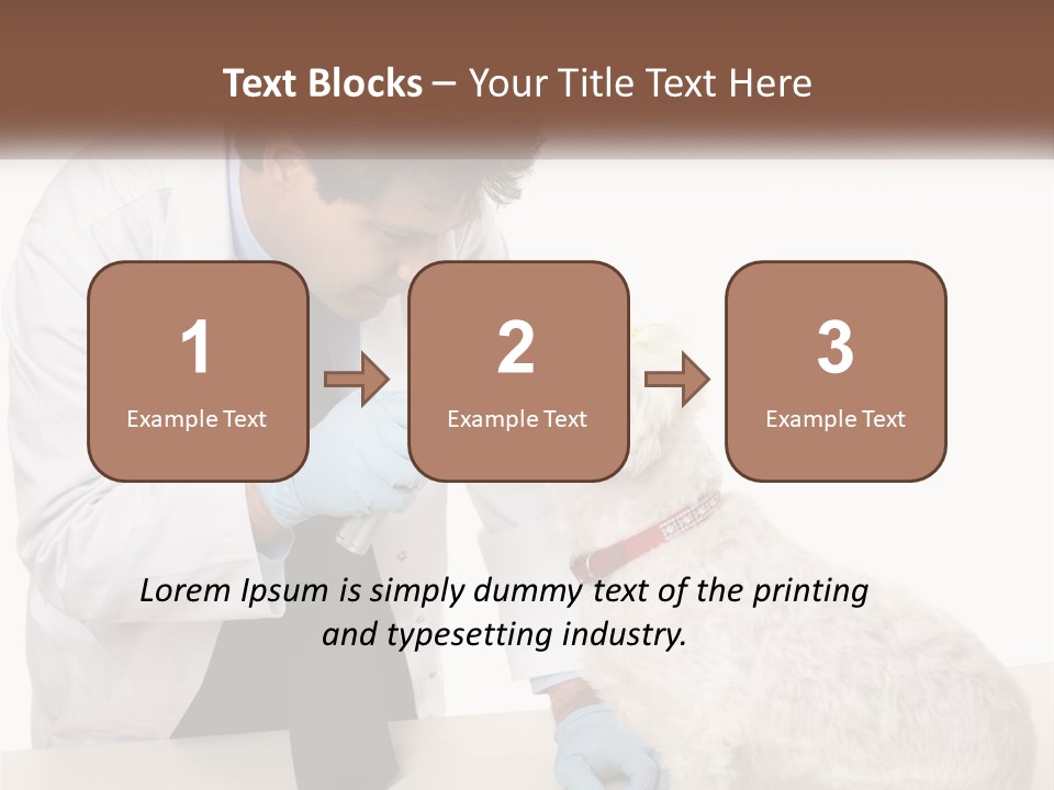 Pensioner Beach Caucasian PowerPoint Template