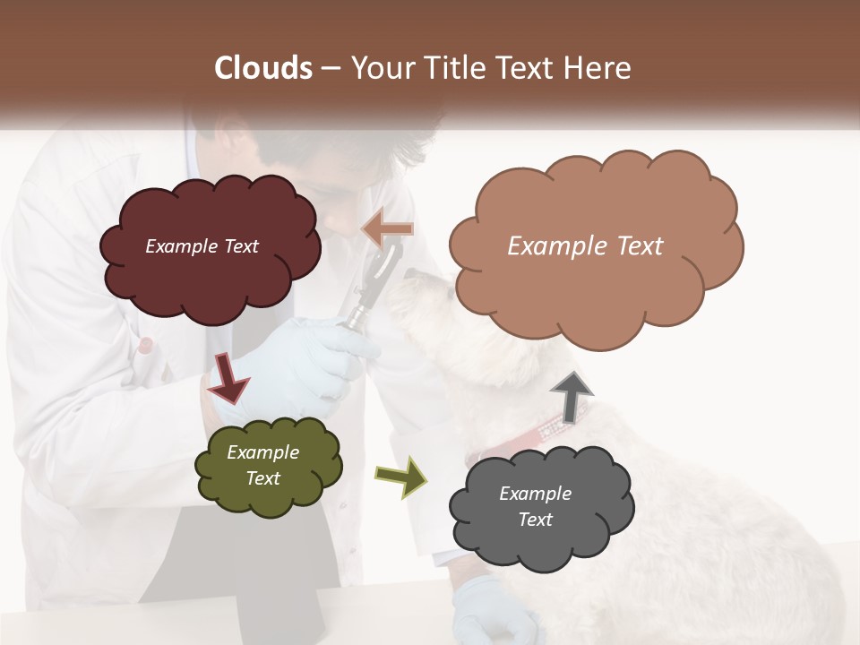 Pensioner Beach Caucasian PowerPoint Template