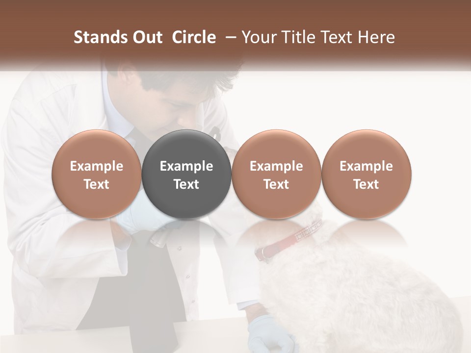 Pensioner Beach Caucasian PowerPoint Template