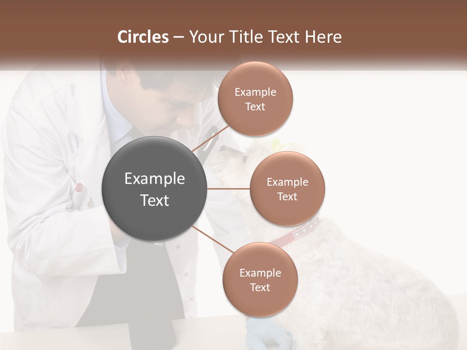 Pensioner Beach Caucasian PowerPoint Template