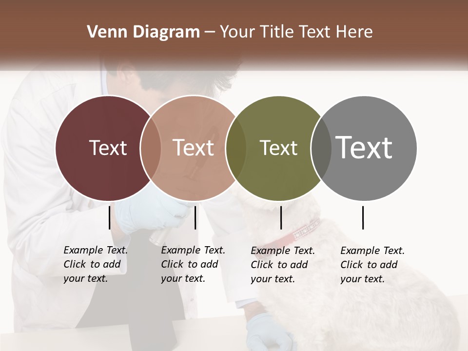 Pensioner Beach Caucasian PowerPoint Template