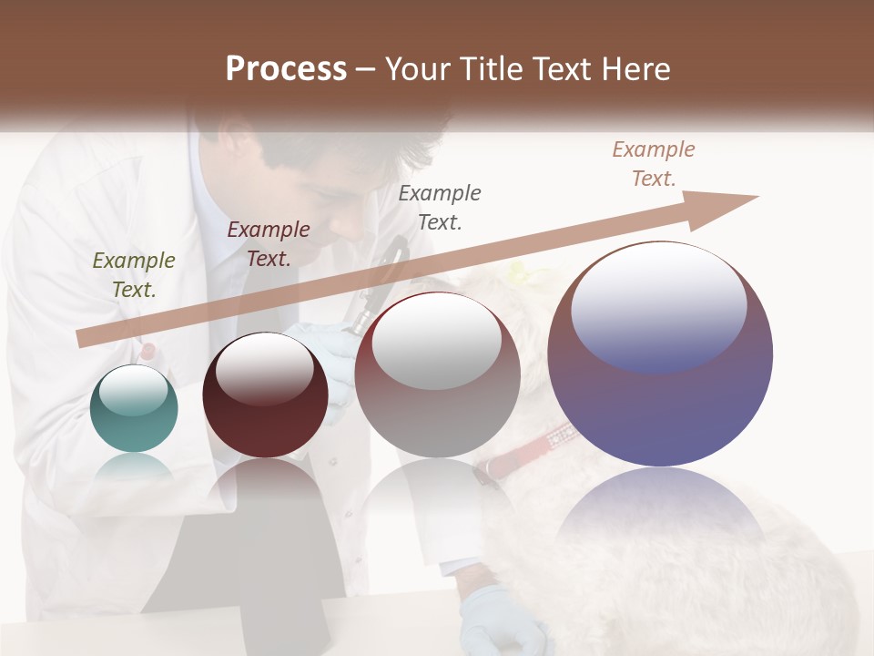 Pensioner Beach Caucasian PowerPoint Template