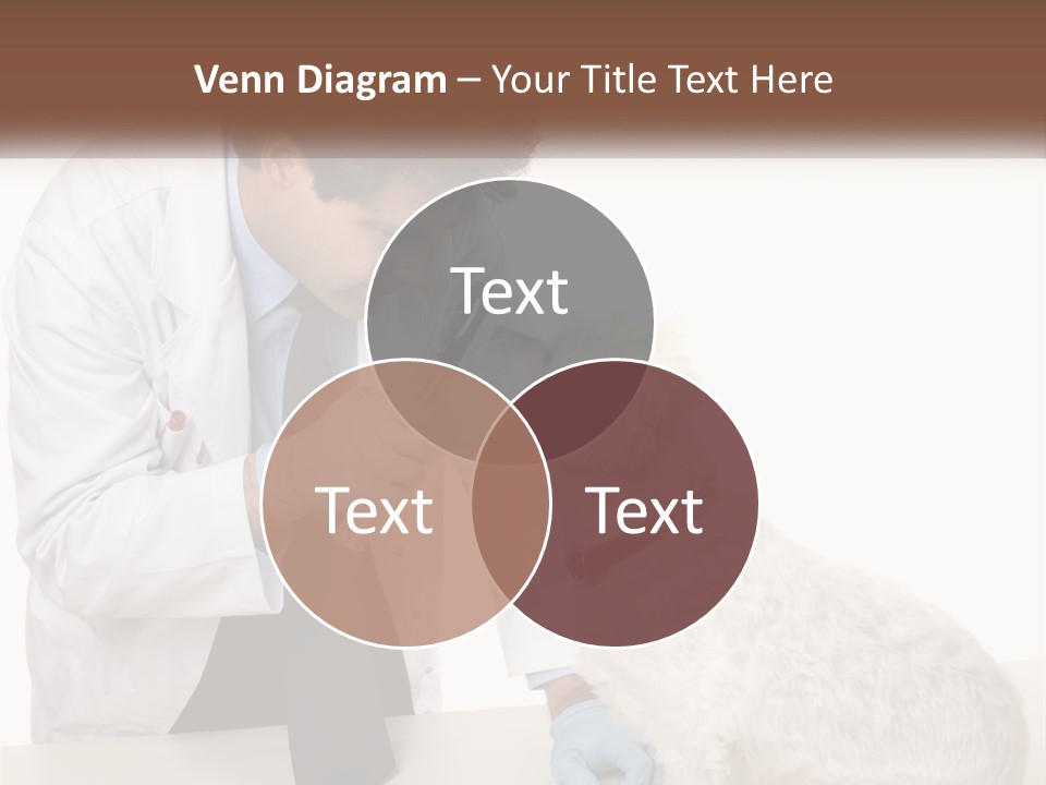 Pensioner Beach Caucasian PowerPoint Template