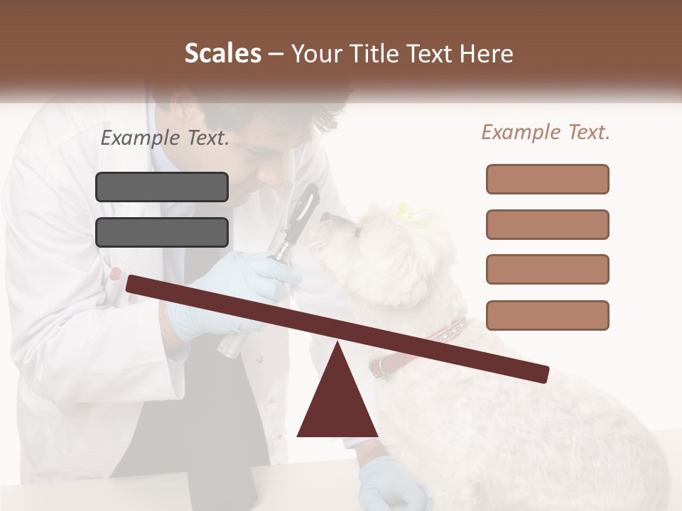 Pensioner Beach Caucasian PowerPoint Template