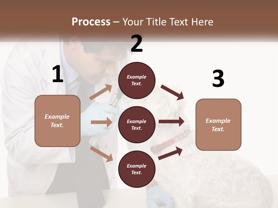 Pensioner Beach Caucasian PowerPoint Template