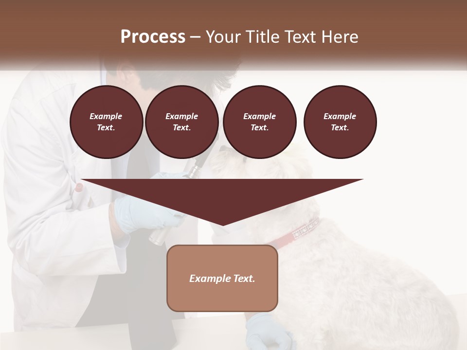 Pensioner Beach Caucasian PowerPoint Template