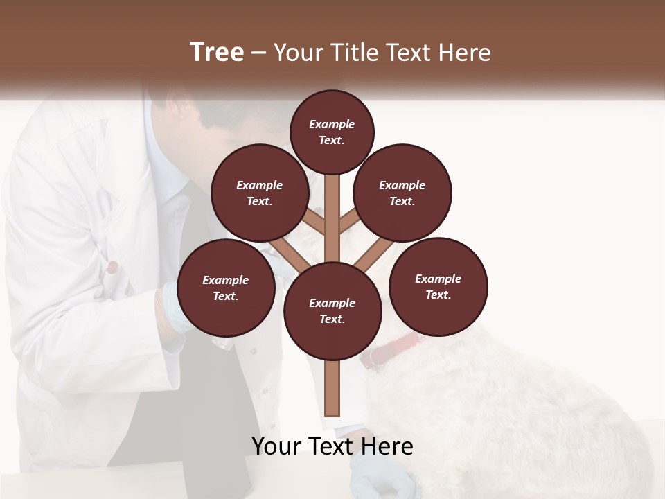 Pensioner Beach Caucasian PowerPoint Template