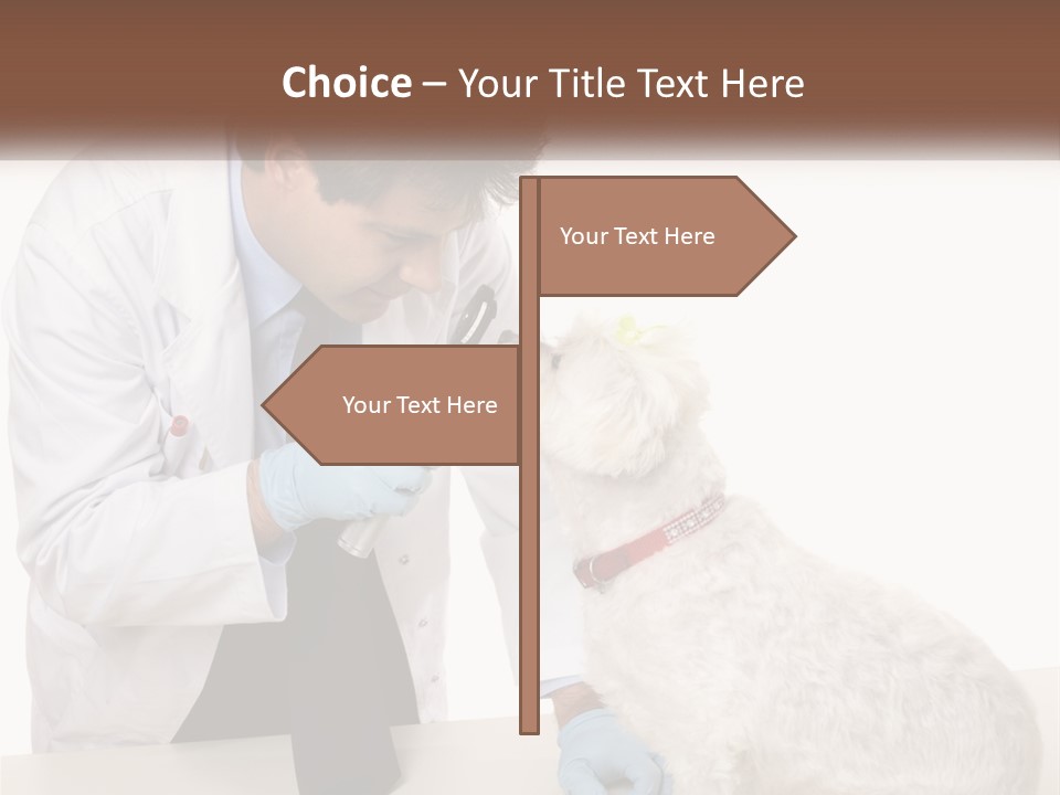 Pensioner Beach Caucasian PowerPoint Template