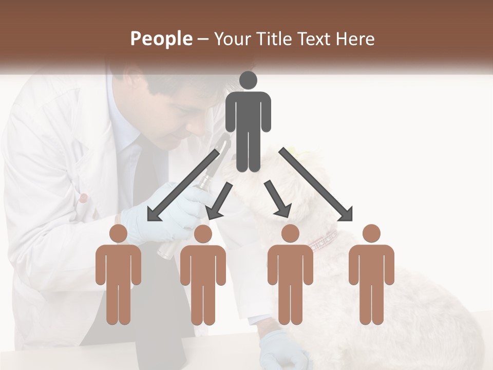 Pensioner Beach Caucasian PowerPoint Template