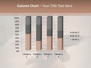 Old Coastal Wave PowerPoint Template