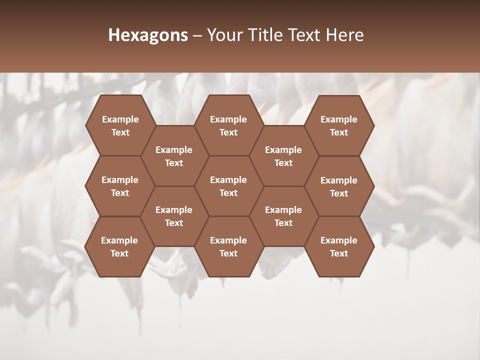 Wave Senior Woman PowerPoint Template