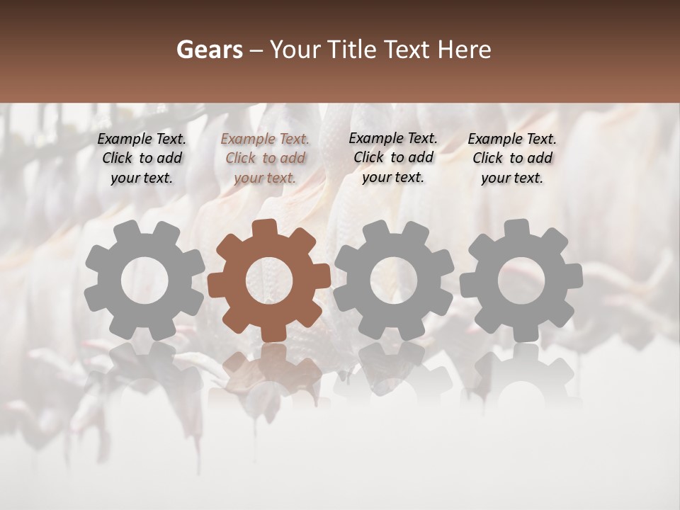 Wave Senior Woman PowerPoint Template