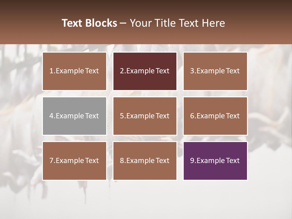 Wave Senior Woman PowerPoint Template