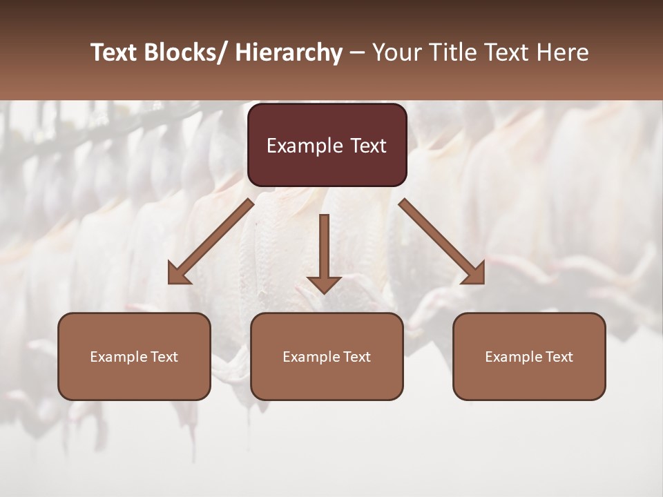 Wave Senior Woman PowerPoint Template