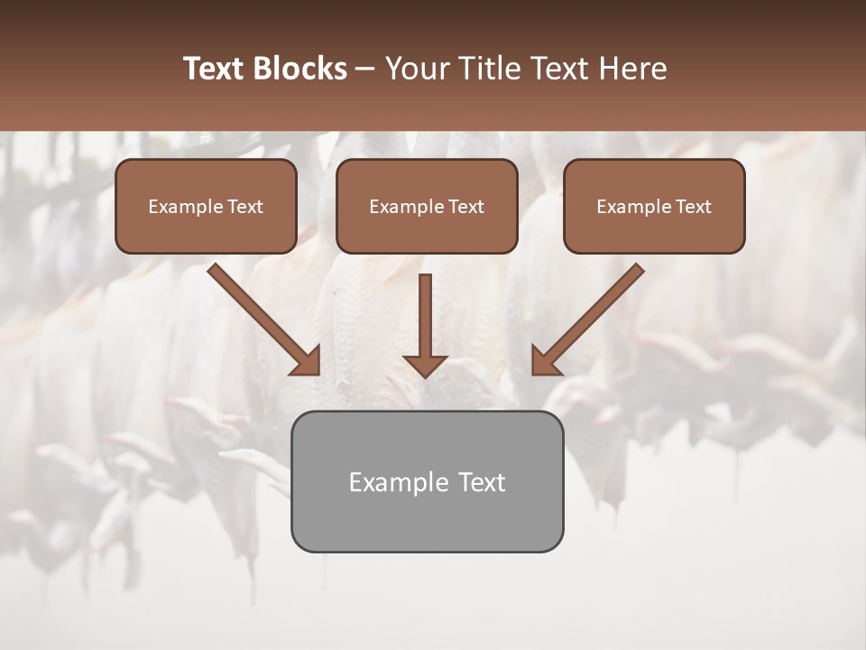 Wave Senior Woman PowerPoint Template