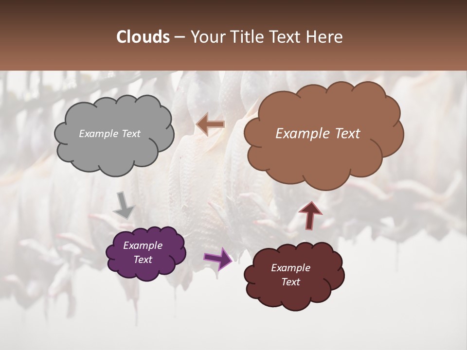 Wave Senior Woman PowerPoint Template