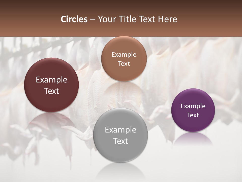 Wave Senior Woman PowerPoint Template