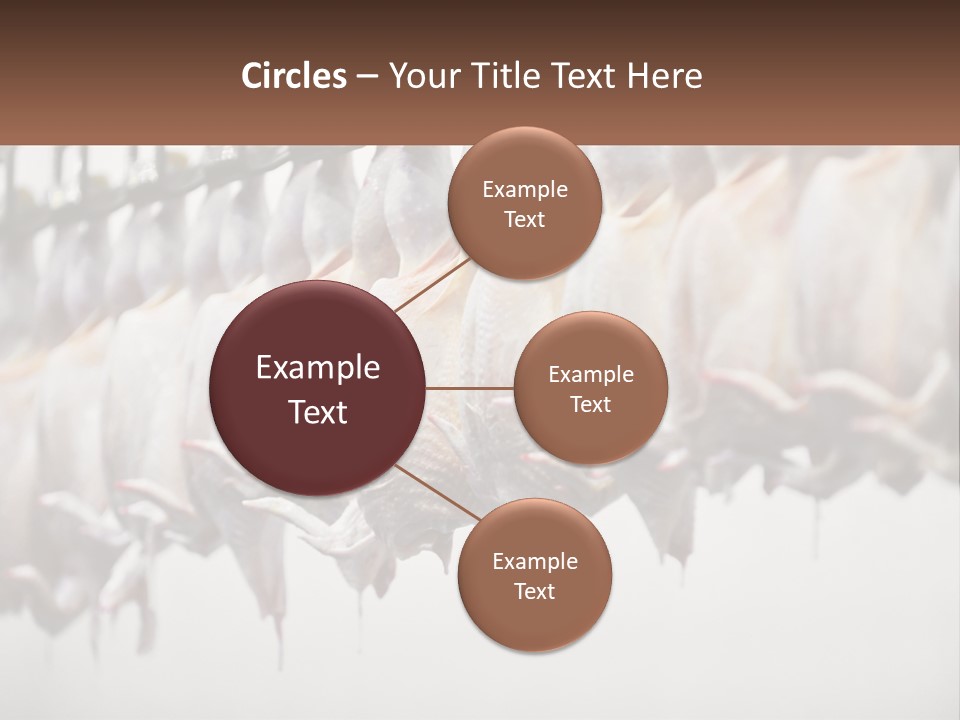 Wave Senior Woman PowerPoint Template