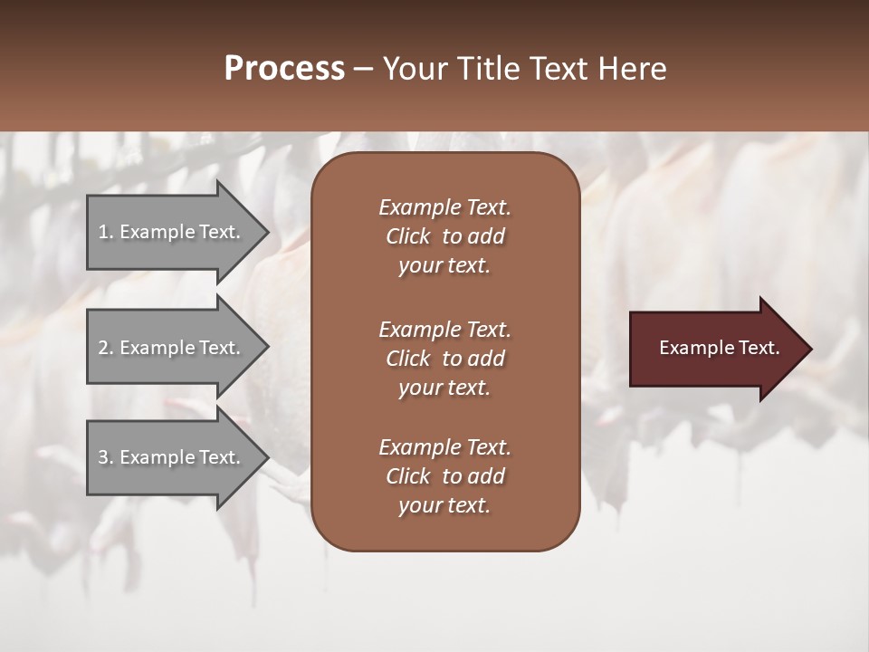 Wave Senior Woman PowerPoint Template