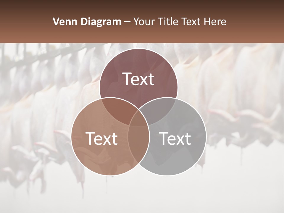 Wave Senior Woman PowerPoint Template