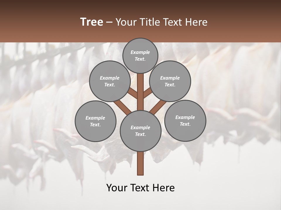 Wave Senior Woman PowerPoint Template