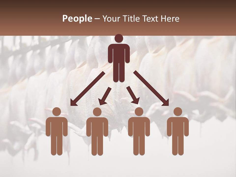 Wave Senior Woman PowerPoint Template