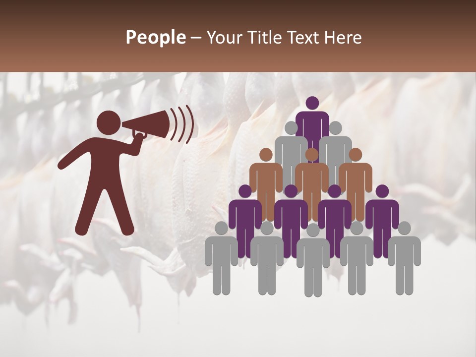 Wave Senior Woman PowerPoint Template