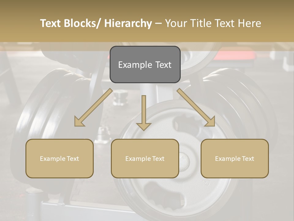 Senior Sand Wellness PowerPoint Template