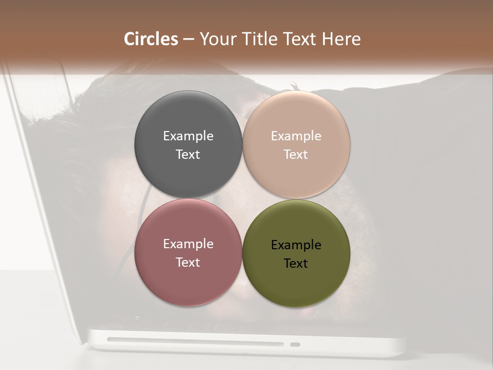 Sunrise Single Water PowerPoint Template