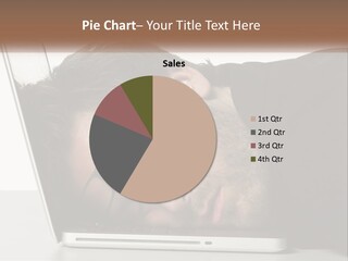 Sunrise Single Water PowerPoint Template