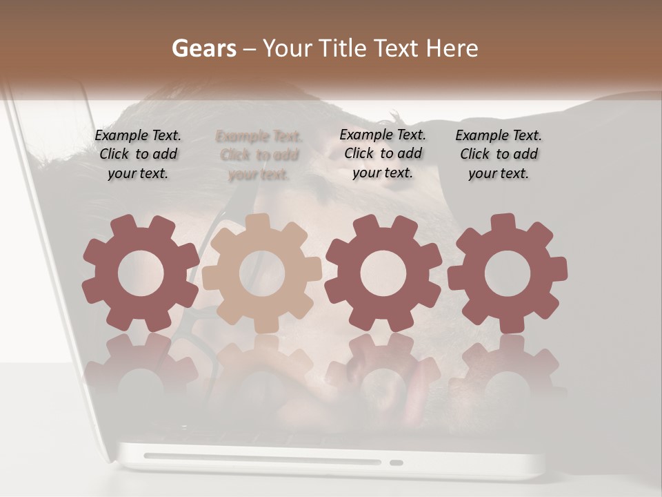 Sunrise Single Water PowerPoint Template