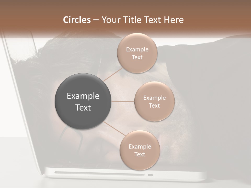 Sunrise Single Water PowerPoint Template