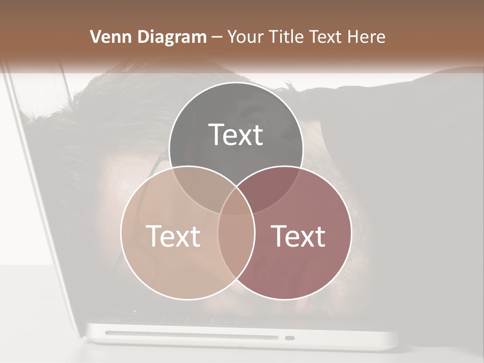 Sunrise Single Water PowerPoint Template