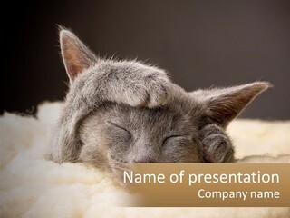 Sand Pensioner Sad PowerPoint Template