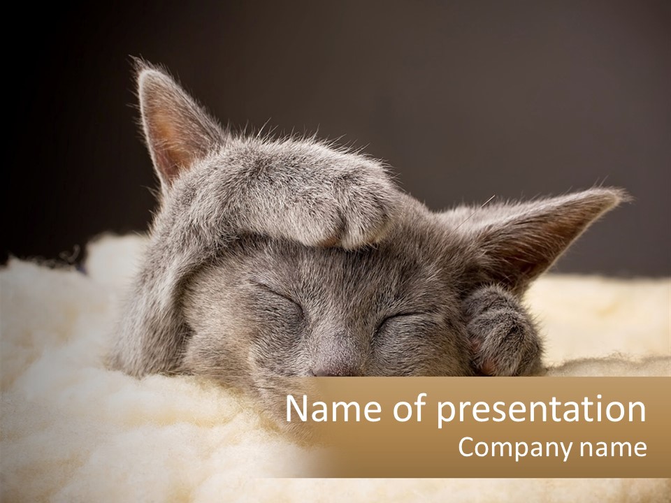 Sand Pensioner Sad PowerPoint Template